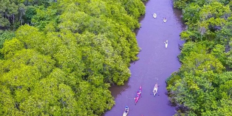 Abertas as inscrições para a 7ª Remada Ecológica de Paraty