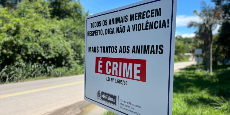 Pinheiral inicia instalação de placas educativas contra o abandono e maus-tratos de animais