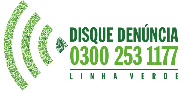 Linha Verde registra quase 19 mil denúncias em 2023
