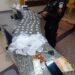 Trio é preso com drogas no Areal, em Barra do Piraí