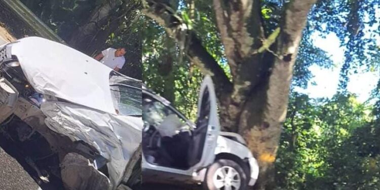 Colisão entre carros de passeio deixa vítimas na Rodovia Rio Santos, em Paraty