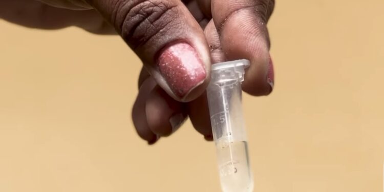 Dengue: Angra dos Reis decreta estado de emergência de saúde pública