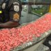Polícia Militar apreende 960 pinos de cocaína em Barra Mansa
