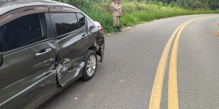 Motociclista morre em acidente na RJ-145