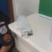 Jovem é preso com quase 1kg de maconha em Valença