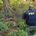 Homem torturado por traficantes na Baixada Fluminense é resgatado pela PRF