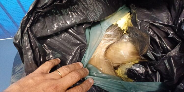 Quase 70 kg de cabelo humano são apreendidos na Dutra, em Barra Mansa