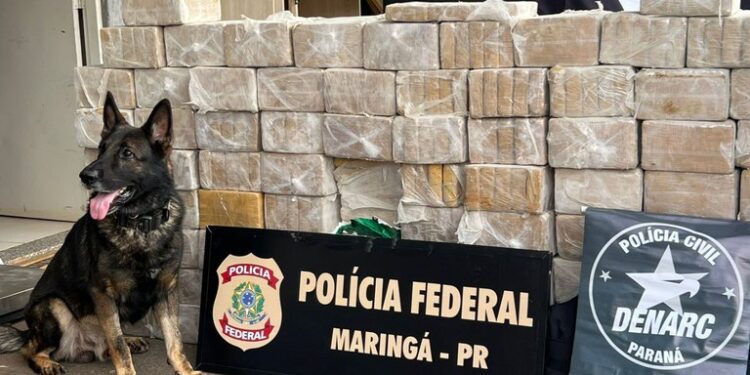 Carga com 422 kg de cocaína é encontrada em fundo falso de caminhão