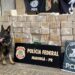 Carga com 422 kg de cocaína é encontrada em fundo falso de caminhão