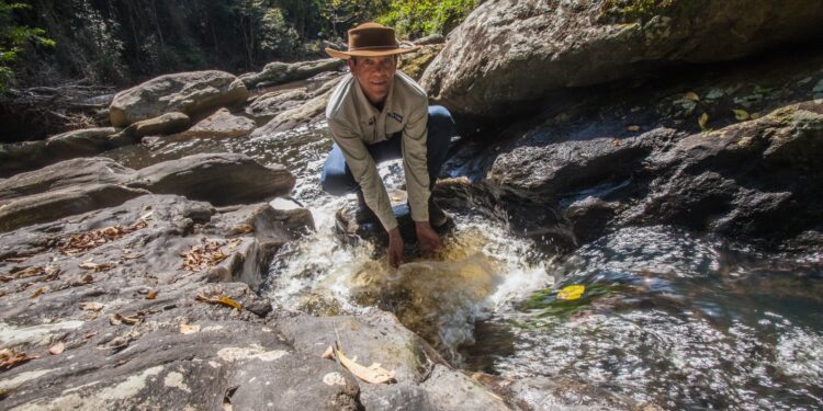Milhares de peixes de espécies ameaçadas serão soltos no Rio Paraíba em ação da CSN