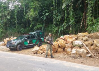 Disque Denúncia ajuda a identificar crimes ambientais em Angra dos Reis e Paraty