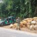 Disque Denúncia ajuda a identificar crimes ambientais em Angra dos Reis e Paraty