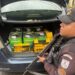 Casal é preso após realizar compras de mais de R$ 5 mil com cartão clonado em Mangaratiba