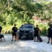 Barra Mansa sediará campeonato e congresso nacional de cães de polícia