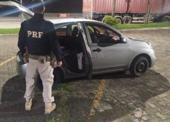Aproximadamente 200 aves silvestres são resgatadas pela PRF na Dutra, em Barra Mansa