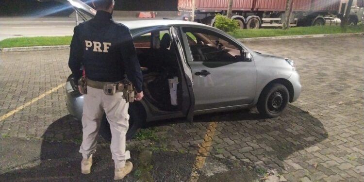 Aproximadamente 200 aves silvestres são resgatadas pela PRF na Dutra, em Barra Mansa