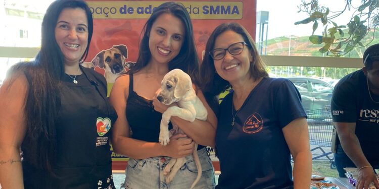 Espaço de adoção da Prefeitura de Volta Redonda encontra novo lar para 24 animais