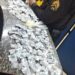 Homem é preso por tráfico de drogas no Centro de Barra do Piraí
