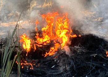 Guarda Ambiental de Barra Mansa flagra queima de pneus no bairro Paraíso