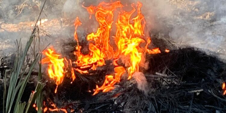 Guarda Ambiental de Barra Mansa flagra queima de pneus no bairro Paraíso