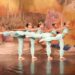 Bailarina de projeto de Volta Redonda conquista vaga no Teatro Musical de Klaipėda, na Lituânia