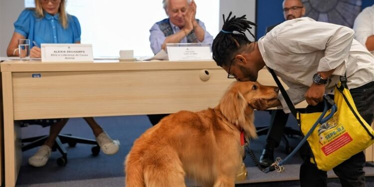 Alerj debate ‘Projeto De Lei do Joca’ para aumentar segurança de pets em viagens aéreas