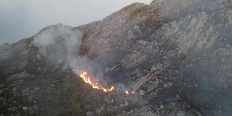 Incêndio no Parque Nacional do Itatiaia atinge cerca de 160 hectares da Parte Alta