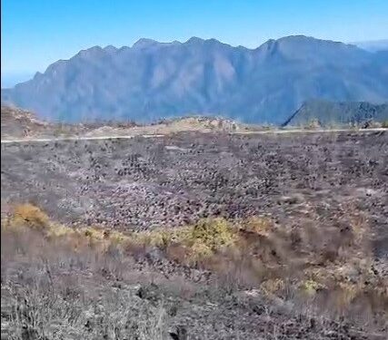 Incêndio no Parque Nacional do Itatiaia atinge aproximadamente 200 hectares