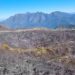 Incêndio no Parque Nacional do Itatiaia atinge aproximadamente 200 hectares