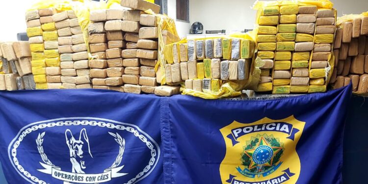 Duzentos quilos de maconha são apreendidos na Dutra, em Itatiaia