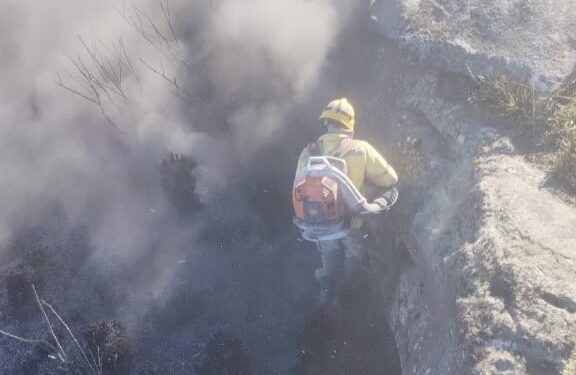 Brigadistas enfrentam recorde de temperatura negativa durante combate a incêndio no Parque Nacional do Itatiaia