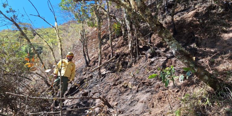 Após oito dias, incêndio no Parque Nacional do Itatiaia é extinto