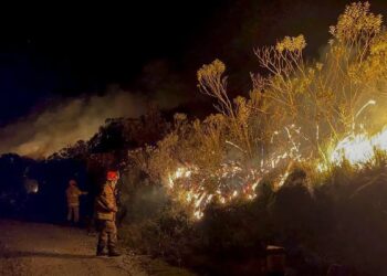 Incêndio no Parque Nacional do Itatiaia começou em local de atividade do Exército