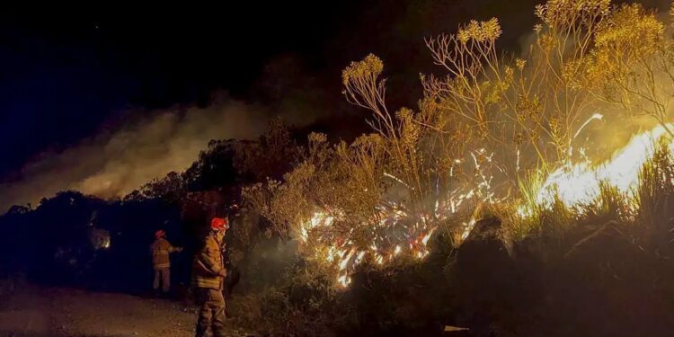 Incêndio no Parque Nacional do Itatiaia começou em local de atividade do Exército
