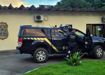 PF inicia operação contra tráfico internacional de animais silvestres