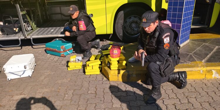 PM apreende 60kg de maconha em Angra