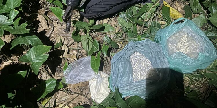 Polícia Militar apreende grande quantidade de drogas em Pinheiral