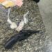 Homem é preso com arma, drogas e munição em Resende