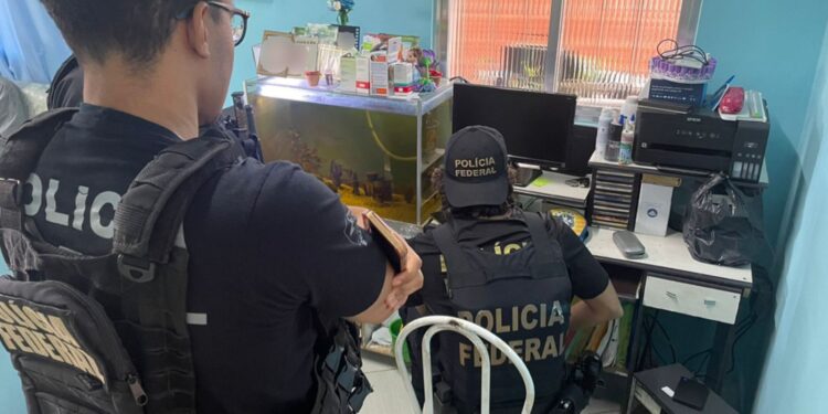 Homem é preso pela PF por armazenar arquivos com cenas de abuso sexual infantil