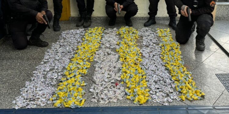 Polícia Militar apreende grande quantidade de drogas enterrada em área de mata em Barra do Piraí