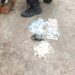 Polícia Militar apreende drogas em Itatiaia