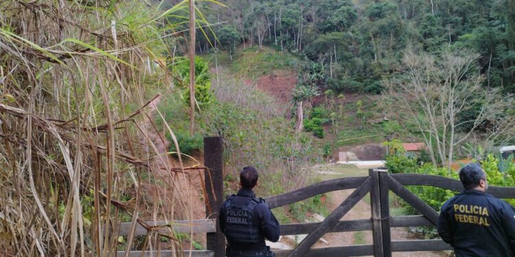 PF deflagra operação para combater aquisição de armas de fogo por meio de documentos falsos