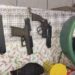 Casal é preso com mais de 6 kg de drogas, duas armas e munições em Três Rios