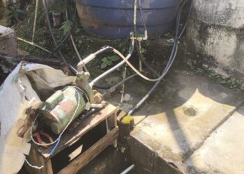 Polícia Ambiental apreende pássaros silvestres em Mangaratiba
