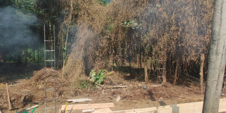 Disque Denúncia leva a flagrante de crime ambiental em Paraty