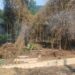 Disque Denúncia leva a flagrante de crime ambiental em Paraty