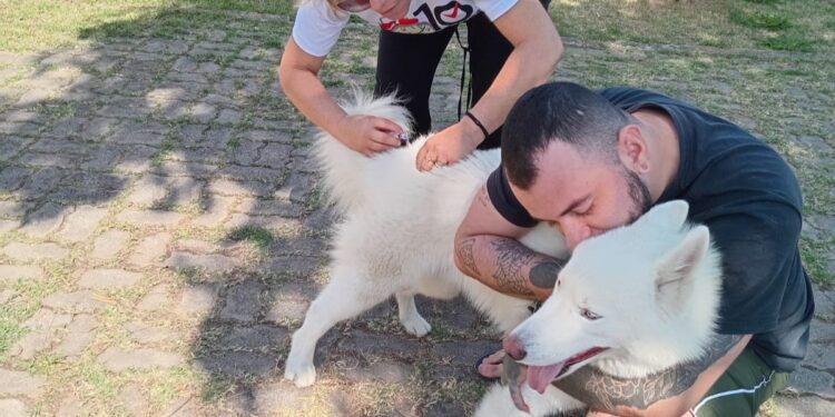 Primeira etapa da campanha antirrábica em VR registra quase seis mil animais vacinados