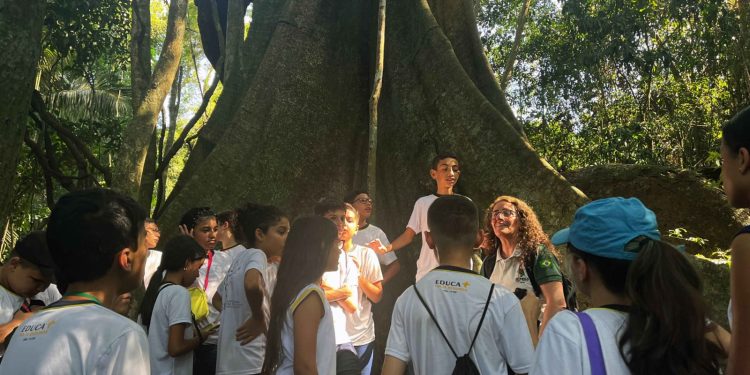 Dia da Árvore: CSN celebra com alunos na Floresta da Cicuta