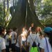 Dia da Árvore: CSN celebra com alunos na Floresta da Cicuta