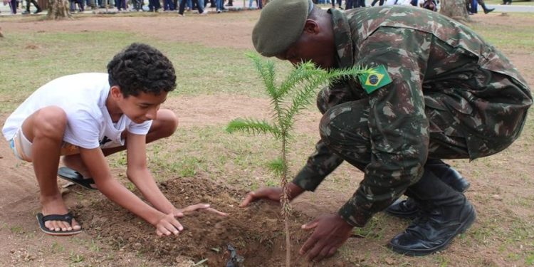 AMAN celebra Dia da Árvore com plantio de espécies nativas em Resende